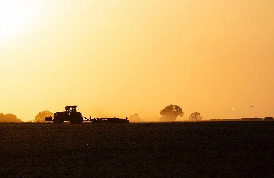 pexels_theother_kev_5580718_1770x1138.jpg pexels_theother_kev_5580718_1770x1138.jpg