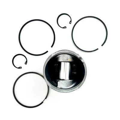 Купить Поршень в сборе SB стандарт 320/09211 JCB IND со склада в Москве. Оригинальные и OEM запчасти в наличии. Широкий выбор, гарантия качества. | РУСТЕХ.