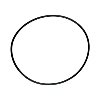 Купить Кольцо 828/00369 А со склада в Москве. Оригинальные и OEM запчасти в наличии. Широкий выбор, гарантия качества. | РУСТЕХ.