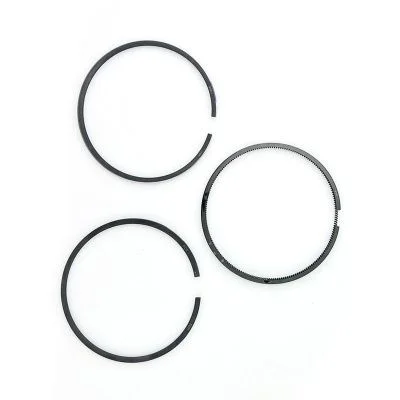 Купить Кольца поршневые 320/09299 OEM со склада в Москве. Оригинальные и OEM запчасти в наличии. Широкий выбор, гарантия качества. | РУСТЕХ.