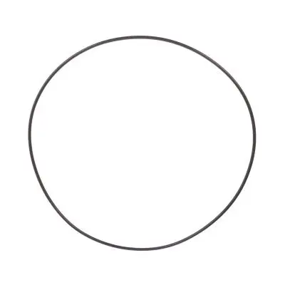 Купить Уплотнительное кольцо CARRARO 28562, 6193333M1, 85808276, VOE11709269, CA0028562 А со склада в Москве. Оригинальные и OEM запчасти в наличии. Широкий выбор, гарантия качества. | РУСТЕХ.