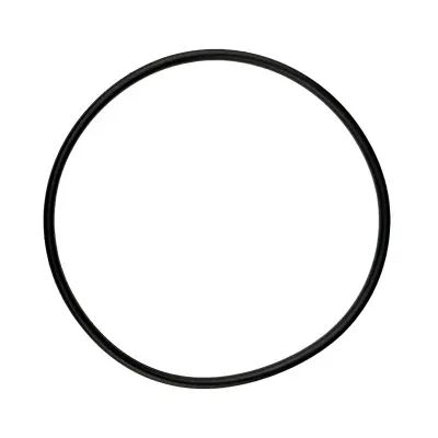 Купить Кольцо уплотнительное JS LBQ1653, KNJ0381 А со склада в Москве. Оригинальные и OEM запчасти в наличии. Широкий выбор, гарантия качества. | РУСТЕХ.