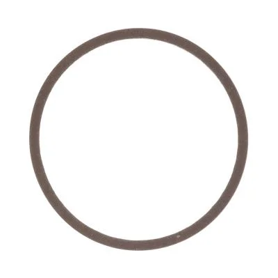 Купить Кольцо тефлоновое CARRARO 148565, 87705461, VOE11712955, CA0148565B со склада в Москве. Оригинальные и OEM запчасти в наличии. Широкий выбор, гарантия качества. | РУСТЕХ.