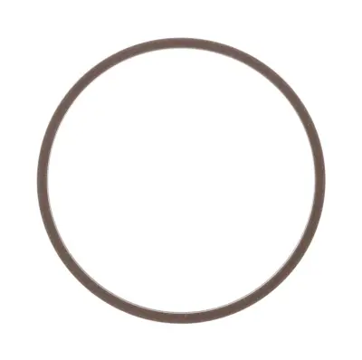 Купить Кольцо тефлоновое CARRARO 142858, 6194363M1, 87429984, VOE11712470, CA0142858 со склада в Москве. Оригинальные и OEM запчасти в наличии. Широкий выбор, гарантия качества. | РУСТЕХ.