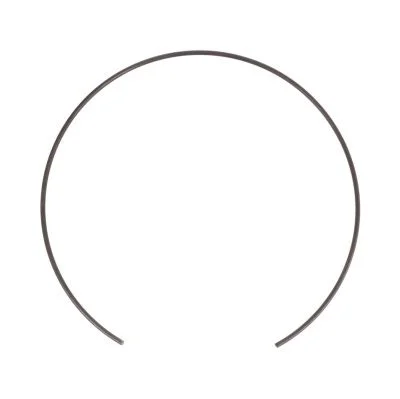 Купить Стопорное кольцо CARRARO 125344, 6194923M1, 85806006, VOE11709492, CA0125344 со склада в Москве. Оригинальные и OEM запчасти в наличии. Широкий выбор, гарантия качества. | РУСТЕХ.