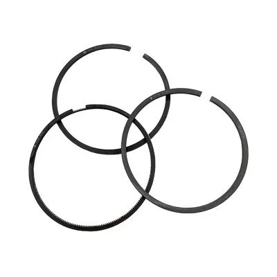 Купить Кольца поршневые комплект RG 02/202921, 998-703, UPRK0002 A со склада в Москве. Оригинальные и OEM запчасти в наличии. Широкий выбор, гарантия качества. | РУСТЕХ.