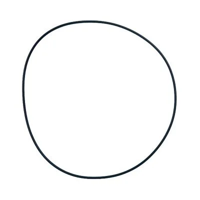 Купить Уплотнительное кольцо маслянного насоса CARRARO 28561 со склада в Москве. Оригинальные и OEM запчасти в наличии. Широкий выбор, гарантия качества. | РУСТЕХ.