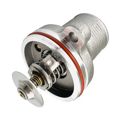 Купить Термостат RG 02/202474, 02/203184, 4133L507, 4133L501  A со склада в Москве. Оригинальные и OEM запчасти в наличии. Широкий выбор, гарантия качества. | РУСТЕХ.