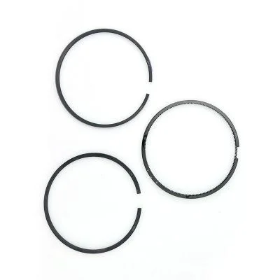 Купить Кольца поршневые 320/09299 JCB со склада в Москве. Оригинальные и OEM запчасти в наличии. Широкий выбор, гарантия качества. | РУСТЕХ.