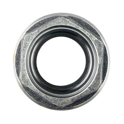 Купить Гайка гидроцилиндра заднего ковша 60мм 594/14053 Ceylan A со склада в Москве. Оригинальные и OEM запчасти в наличии. Широкий выбор, гарантия качества. | РУСТЕХ.