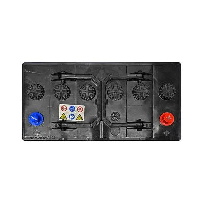 Купить Аккумулятор ESAN MF S D2 10B01 125Ah/12V 1000A со склада в Москве. Оригинальные и OEM запчасти в наличии. Широкий выбор, гарантия качества. | РУСТЕХ.