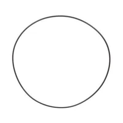 Купить Уплотнительное кольцо CARRARO 28562, 6193333M1, 85808276, VOE11709269, CA0028562 А со склада в Москве. Оригинальные и OEM запчасти в наличии. Широкий выбор, гарантия качества. | РУСТЕХ.