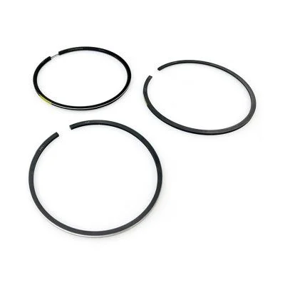 Купить Кольца поршневые 320/09299 JCB со склада в Москве. Оригинальные и OEM запчасти в наличии. Широкий выбор, гарантия качества. | РУСТЕХ.