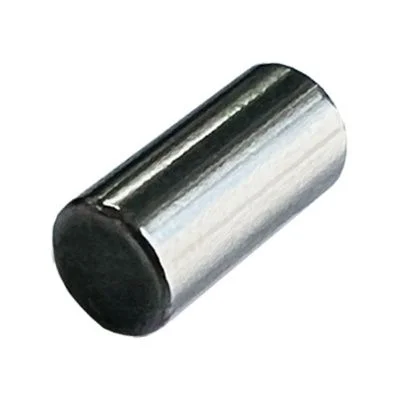 Купить Иголка подшипника CARRARO 28370, 6190287M1, 215-1402, 85808268, VOE11709374, CA0028370 со склада в Москве. Оригинальные и OEM запчасти в наличии. Широкий выбор, гарантия качества. | РУСТЕХ.