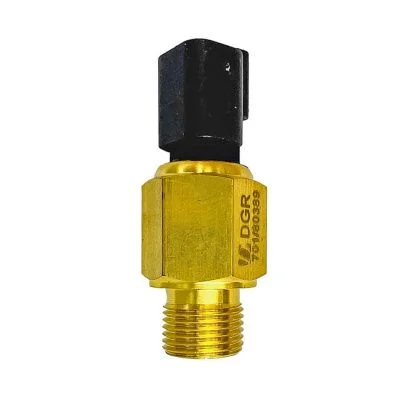 Купить Датчик температуры охлаждающей жидкости RG, RE 701/80389, 96129,515/22160 А со склада в Москве. Оригинальные и OEM запчасти в наличии. Широкий выбор, гарантия качества. | РУСТЕХ.