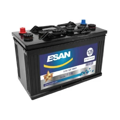 Купить Аккумулятор ESAN MF S D2 10B01 125Ah/12V 1000A со склада в Москве. Оригинальные и OEM запчасти в наличии. Широкий выбор, гарантия качества. | РУСТЕХ.