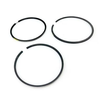 Купить Кольца поршневые 320/09299 OEM со склада в Москве. Оригинальные и OEM запчасти в наличии. Широкий выбор, гарантия качества. | РУСТЕХ.