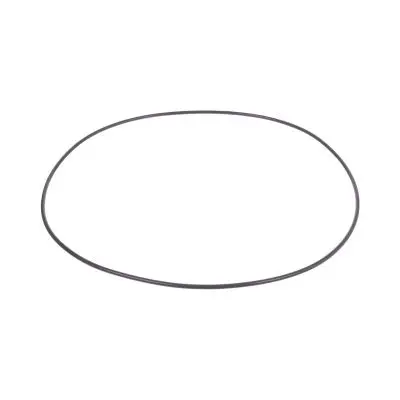 Купить Уплотнительное кольцо CARRARO 28579, 6193409M1, 85808262, VOE11709359, CA0028579 со склада в Москве. Оригинальные и OEM запчасти в наличии. Широкий выбор, гарантия качества. | РУСТЕХ.