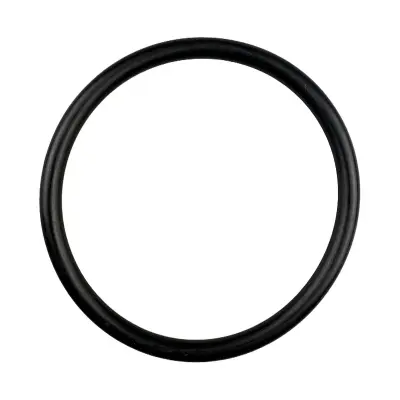 Купить Кольцо фильтра сетчатого 32/920301 со склада в Москве. Оригинальные и OEM запчасти в наличии. Широкий выбор, гарантия качества. | РУСТЕХ.