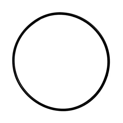 Купить Кольцо уплотнительное 320/08007 А со склада в Москве. Оригинальные и OEM запчасти в наличии. Широкий выбор, гарантия качества. | РУСТЕХ.