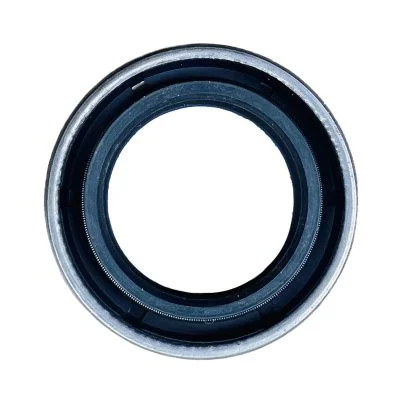 Купить Сальник CARRARO 116722 (35*52*16) со склада в Москве. Оригинальные и OEM запчасти в наличии. Широкий выбор, гарантия качества. | РУСТЕХ.