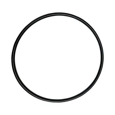 Купить Кольцо уплотнительное 828/J0008 со склада в Москве. Оригинальные и OEM запчасти в наличии. Широкий выбор, гарантия качества. | РУСТЕХ.