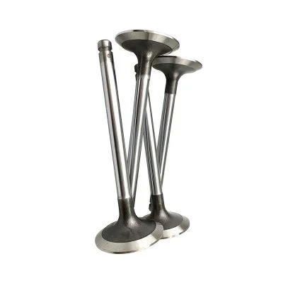 Купить Клапан впускной АК 02/201506, 3142L081, 10000-90635 A со склада в Москве. Оригинальные и OEM запчасти в наличии. Широкий выбор, гарантия качества. | РУСТЕХ.