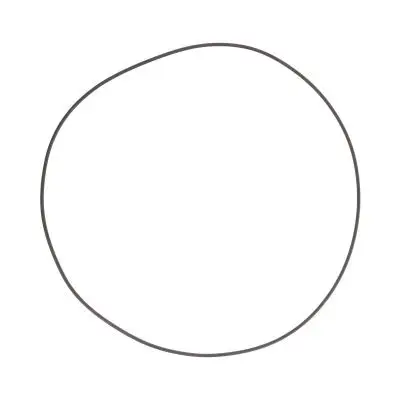 Купить Уплотнительное кольцо CARRARO 28603, 6194922M1, 85805711, VOE11709491, CA0028603 со склада в Москве. Оригинальные и OEM запчасти в наличии. Широкий выбор, гарантия качества. | РУСТЕХ.