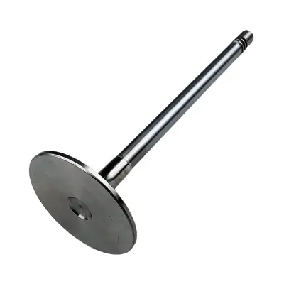 Купить Клапан впускной Perkins 3142H091, 10000-07561 А со склада в Москве. Оригинальные и OEM запчасти в наличии. Широкий выбор, гарантия качества. | РУСТЕХ.