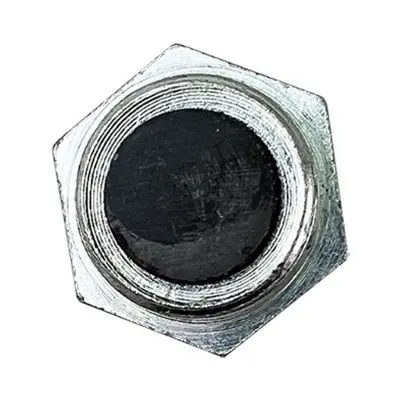 Купить Пробка моста сливная с магнитом 816/80012, 816/81012, 826/80012 А со склада в Москве. Оригинальные и OEM запчасти в наличии. Широкий выбор, гарантия качества. | РУСТЕХ.