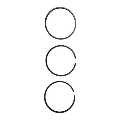 Купить Кольца поршневые (+0,50мм) 320/09214,320/09295 А со склада в Москве. Оригинальные и OEM запчасти в наличии. Широкий выбор, гарантия качества. | РУСТЕХ.