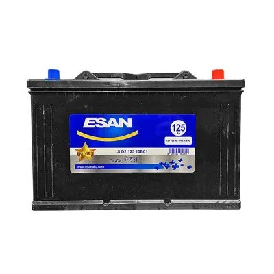 Купить Аккумулятор ESAN MF S D2 10B01 125Ah/12V 1000A со склада в Москве. Оригинальные и OEM запчасти в наличии. Широкий выбор, гарантия качества. | РУСТЕХ.