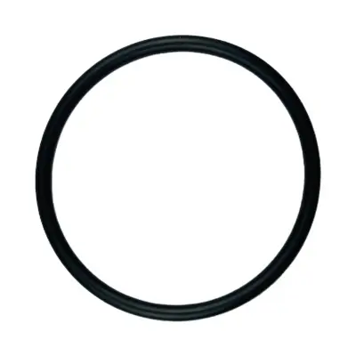 Купить Кольцо переходника гидронасоса 2401/0218 JCB со склада в Москве. Оригинальные и OEM запчасти в наличии. Широкий выбор, гарантия качества. | РУСТЕХ.