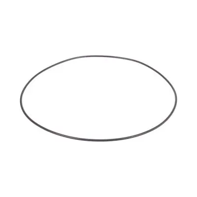 Купить Уплотнительное кольцо CARRARO 28562, 6193333M1, 85808276, VOE11709269, CA0028562 А со склада в Москве. Оригинальные и OEM запчасти в наличии. Широкий выбор, гарантия качества. | РУСТЕХ.