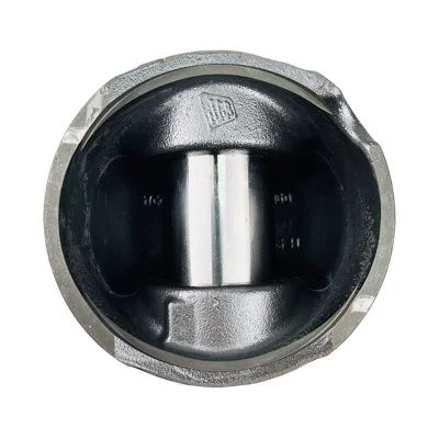 Купить Поршень в сборе SE стандарт 320/03184 JCB со склада в Москве. Оригинальные и OEM запчасти в наличии. Широкий выбор, гарантия качества. | РУСТЕХ.