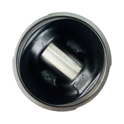 Купить Поршень в сборе RG стандарт 02/202920, 4115P015, Т435652, T426384, 508-1898 А со склада в Москве. Оригинальные и OEM запчасти в наличии. Широкий выбор, гарантия качества. | РУСТЕХ.