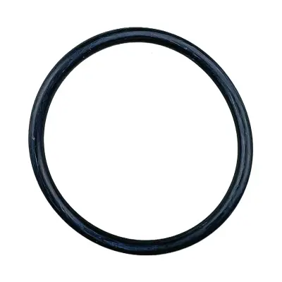 Купить Уплотнительное кольцо 828/10180 A со склада в Москве. Оригинальные и OEM запчасти в наличии. Широкий выбор, гарантия качества. | РУСТЕХ.