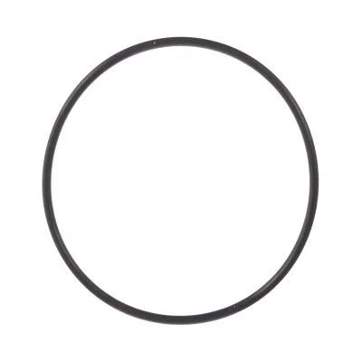 Купить Уплотнительное кольцо CARRARO 28613, 6194419M1, 112517A1, VOE11716791, CA0028613 со склада в Москве. Оригинальные и OEM запчасти в наличии. Широкий выбор, гарантия качества. | РУСТЕХ.