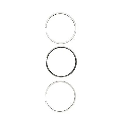 Купить Кольца поршневые 320/09296, 320/09215 2-й ремонт А со склада в Москве. Оригинальные и OEM запчасти в наличии. Широкий выбор, гарантия качества. | РУСТЕХ.