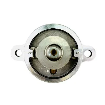 Купить Термостат RG 02/202474, 02/203184, 4133L507, 4133L501 JCB со склада в Москве. Оригинальные и OEM запчасти в наличии. Широкий выбор, гарантия качества. | РУСТЕХ.