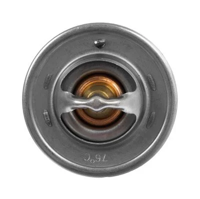 Купить Термостат AB 02/100192, 2485613 A со склада в Москве. Оригинальные и OEM запчасти в наличии. Широкий выбор, гарантия качества. | РУСТЕХ.