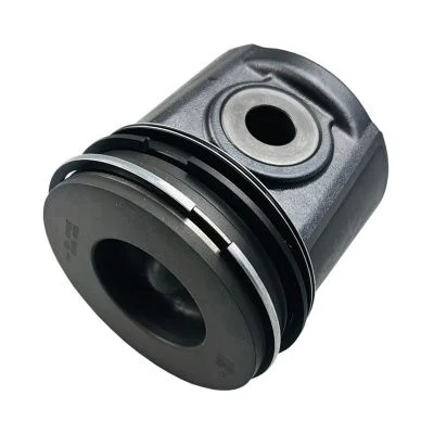 Купить Поршень в сборе RG  4115P017, T426388, 936-117 (2-й ремонт)  А со склада в Москве. Оригинальные и OEM запчасти в наличии. Широкий выбор, гарантия качества. | РУСТЕХ.