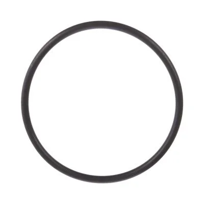 Купить Кольцо CARRARO 33027, 6194423M1, 366235A1, VOE11716793, CA0033027 со склада в Москве. Оригинальные и OEM запчасти в наличии. Широкий выбор, гарантия качества. | РУСТЕХ.