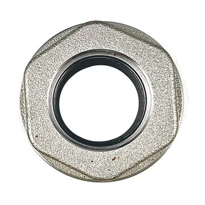 Купить Гайка гидроцилиндра 594/14300 Ceylan A со склада в Москве. Оригинальные и OEM запчасти в наличии. Широкий выбор, гарантия качества. | РУСТЕХ.