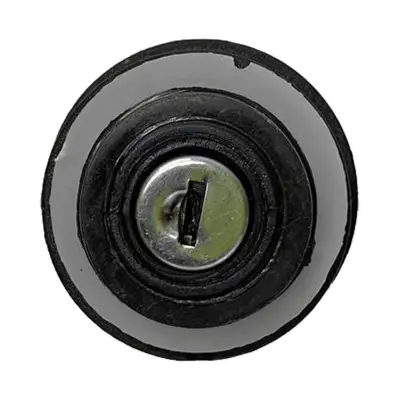 Купить Замок зажигания 701/80184, 701/Y1372 OEM со склада в Москве. Оригинальные и OEM запчасти в наличии. Широкий выбор, гарантия качества. | РУСТЕХ.