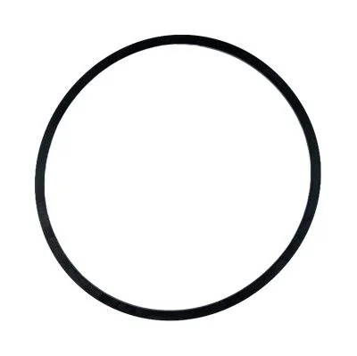 Купить Сальник насоса КПП 813/50041 JCB со склада в Москве. Оригинальные и OEM запчасти в наличии. Широкий выбор, гарантия качества. | РУСТЕХ.