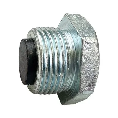 Купить Пробка моста сливная с магнитом 816/80012, 816/81012, 826/80012 А со склада в Москве. Оригинальные и OEM запчасти в наличии. Широкий выбор, гарантия качества. | РУСТЕХ.