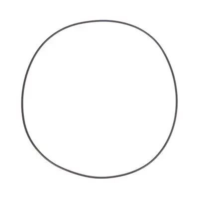 Купить Уплотнительное кольцо CARRARO 28579, 6193409M1, 85808262, VOE11709359, CA0028579 со склада в Москве. Оригинальные и OEM запчасти в наличии. Широкий выбор, гарантия качества. | РУСТЕХ.