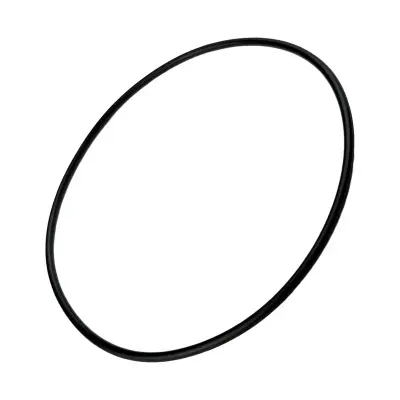 Купить Кольцо 2403/0244 А со склада в Москве. Оригинальные и OEM запчасти в наличии. Широкий выбор, гарантия качества. | РУСТЕХ.