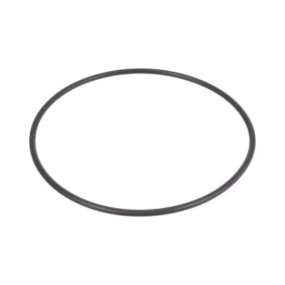 Купить Уплотнительное кольцо CARRARO 28212, 6194006M1, 87759558, VOE11716628, CA0028212 со склада в Москве. Оригинальные и OEM запчасти в наличии. Широкий выбор, гарантия качества. | РУСТЕХ.